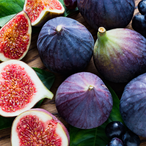 FIG POWDER